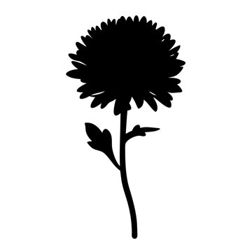 recommend clip art: aster flower minimalist silhouette vector - for nature graphic design projects aster, plant flower modern artwork.