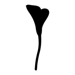 calla lily flower minimalist silhouette vector - for nature graphic design projects calla lily, plant flower modern artwork.