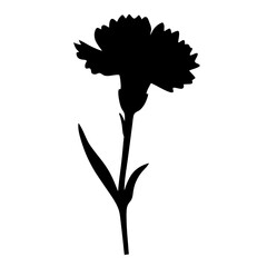carnation flower minimalist silhouette vector - for nature graphic design projects carnation, plant flower modern artwork.