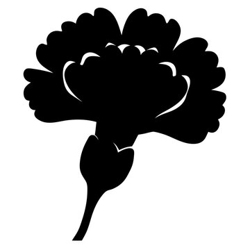 recommend clip art: carnation flower minimalist silhouette vector - for nature graphic design projects carnation, plant flower modern artwork.