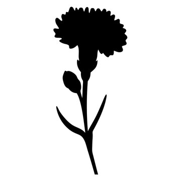 recommend clip art: carnation flower minimalist silhouette vector - for nature graphic design projects carnation, plant flower modern artwork.