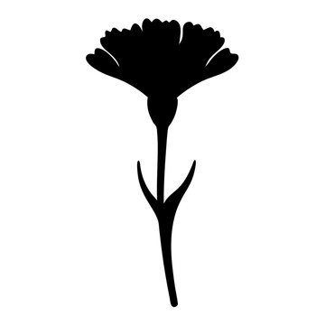 recommend clip art: carnation flower minimalist silhouette vector - for nature graphic design projects carnation, plant flower modern artwork.