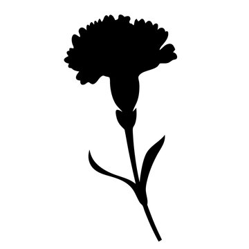 recommend clip art: carnation flower minimalist silhouette vector - for nature graphic design projects carnation, plant flower modern artwork.