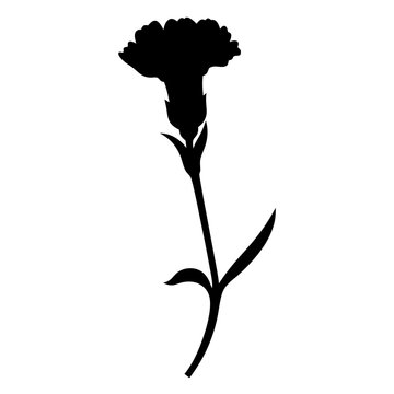 recommend clip art: carnation flower minimalist silhouette vector - for nature graphic design projects carnation, plant flower modern artwork.