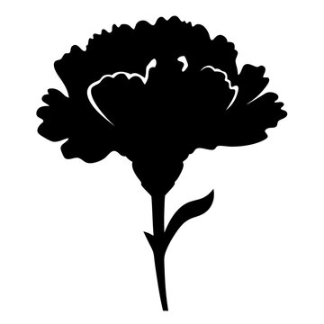 recommend clip art: carnation flower minimalist silhouette vector - for nature graphic design projects carnation, plant flower modern artwork.