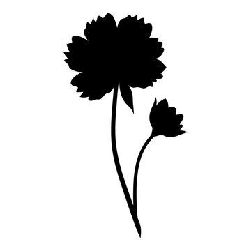 recommend clip art: coreopsis flower minimalist silhouette vector - for nature graphic design projects coreopsis, plant flower modern artwork.