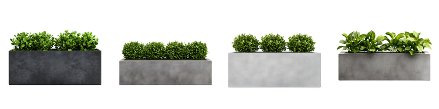 Rows of modern concrete planters with green plants