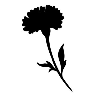 recommend clip art: marigold flower minimalist silhouette vector - for nature graphic design projects marigold, plant flower modern artwork.