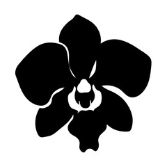 orchid flower minimalist silhouette vector - for nature graphic design projects orchid, plant flower modern artwork.