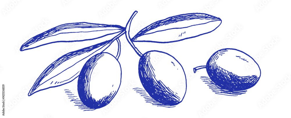 Poster whimsical doodle of mediterranean olives highlighted in a coquette style using chalk and crayon with