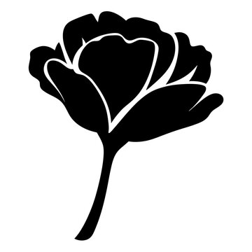 recommend clip art: ranunculus flower minimalist silhouette vector - for nature graphic design projects ranunculus, plant flower modern artwork.