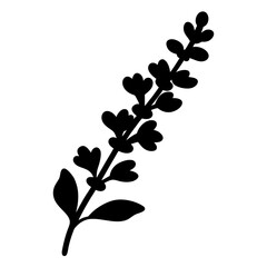 salvia flower minimalist silhouette vector - for nature graphic design projects salvia, plant flower modern artwork.