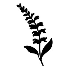 salvia flower minimalist silhouette vector - for nature graphic design projects salvia, plant flower modern artwork.