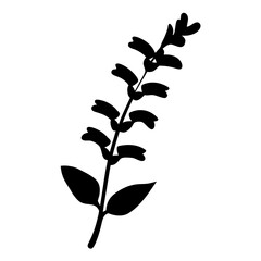 salvia flower minimalist silhouette vector - for nature graphic design projects salvia, plant flower modern artwork.