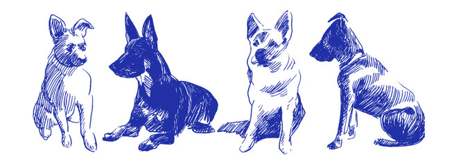 Colorful doodles of whimsical dog sketches reflecting Mediterranean coquette style with charming linear elements