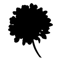 scabiosa flower minimalist silhouette vector - for nature graphic design projects scabiosa, plant flower modern artwork.