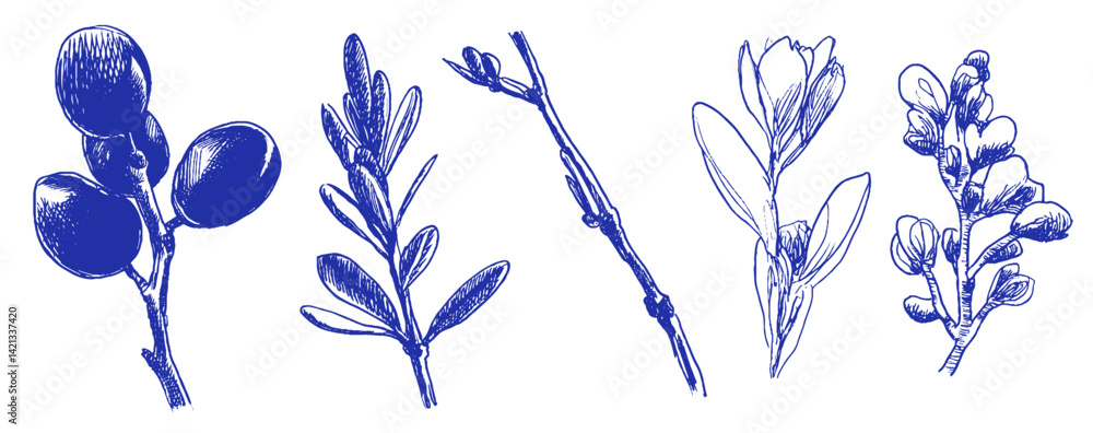 Poster artistic exploration of whimsical mediterranean flora through linear doodles and crayon techniques
