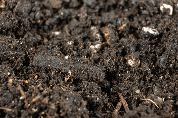 Texture of moist fertile soil universal for growing plants close-up.