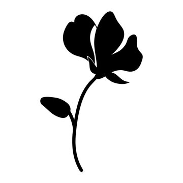 recommend clip art: sweet pea flower minimalist silhouette vector - for nature graphic design projects sweet pea, plant flower modern artwork.