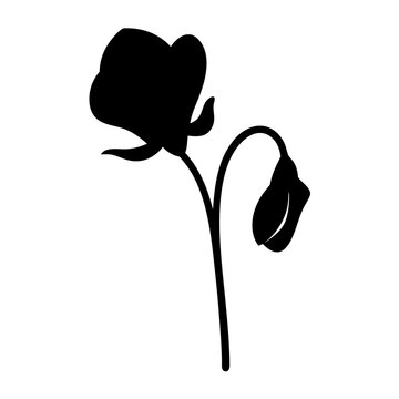 recommend clip art: sweet pea flower minimalist silhouette vector - for nature graphic design projects sweet pea, plant flower modern artwork.