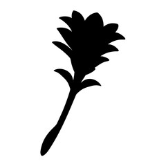 torch ginger flower minimalist silhouette vector - for nature graphic design projects torch ginger, plant flower modern artwork.