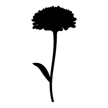 recommend clip art: zinnia flower minimalist silhouette vector - for nature graphic design projects zinnia, plant flower modern artwork.