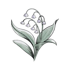 Subtle Tones Graceful Lily Art