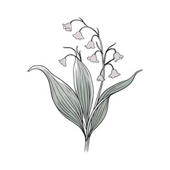 Watercolor Lily In Forest Light