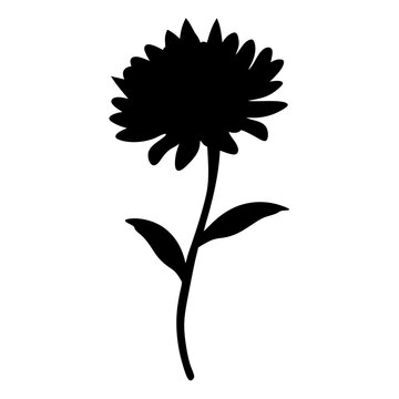 recommend clip art: aster flower minimalist silhouette vector - for nature graphic design projects aster, plant flower modern artwork.