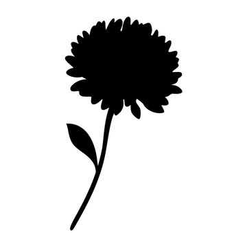 recommend clip art: aster flower minimalist silhouette vector - for nature graphic design projects aster, plant flower modern artwork.