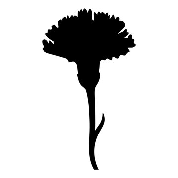 recommend clip art: carnation flower minimalist silhouette vector - for nature graphic design projects carnation, plant flower modern artwork.