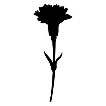 recommend clip art: carnation flower minimalist silhouette vector - for nature graphic design projects carnation, plant flower modern artwork.