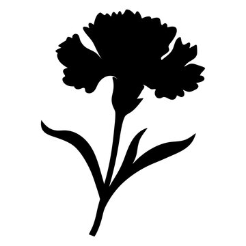 recommend clip art: carnation flower minimalist silhouette vector - for nature graphic design projects carnation, plant flower modern artwork.