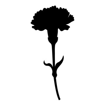 recommend clip art: carnation flower minimalist silhouette vector - for nature graphic design projects carnation, plant flower modern artwork.