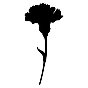 recommend clip art: carnation flower minimalist silhouette vector - for nature graphic design projects carnation, plant flower modern artwork.