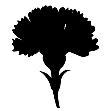 recommend clip art: carnation flower minimalist silhouette vector - for nature graphic design projects carnation, plant flower modern artwork.