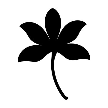 recommend clip art: clematis flower minimalist silhouette vector - for nature graphic design projects clematis, plant flower modern artwork.