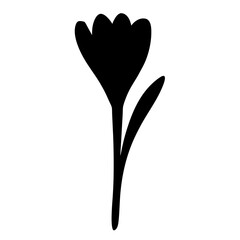 crocus flower minimalist silhouette vector - for nature graphic design projects crocus, plant flower modern artwork.