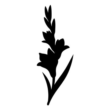 recommend clip art: gladiolus flower minimalist silhouette vector - for nature graphic design projects gladiolus, plant flower modern artwork.