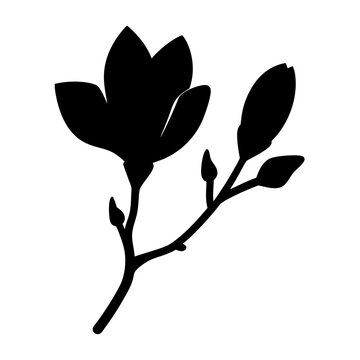 recommend clip art: magnolia flower minimalist silhouette vector - for nature graphic design projects magnolia, plant flower modern artwork.