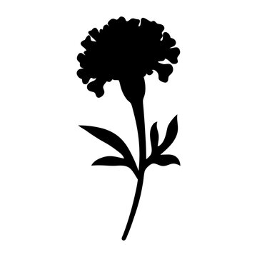recommend clip art: marigold flower minimalist silhouette vector - for nature graphic design projects marigold, plant flower modern artwork.