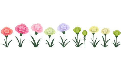Naklejka premium Elegant Carnations with Delicate Shades