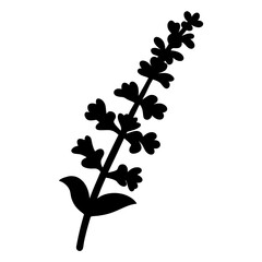 salvia flower minimalist silhouette vector - for nature graphic design projects salvia, plant flower modern artwork.