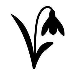 snowdrop flower minimalist silhouette vector - for nature graphic design projects snowdrop, plant flower modern artwork.