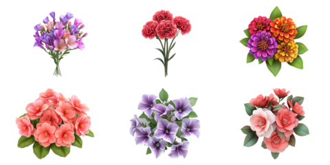 Assortment of flowers isolated over a white surface.