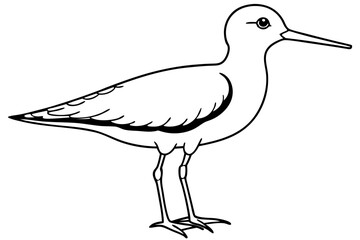 Obraz premium sandpiper silhouette line art vector illustration with a white background