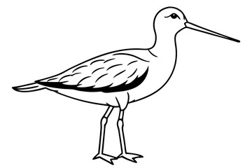 sandpiper silhouette line art vector illustration with a white background