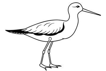 Fototapeta premium sandpiper silhouette line art vector illustration with a white background