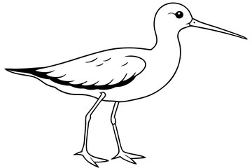 sandpiper silhouette line art vector illustration with a white background
