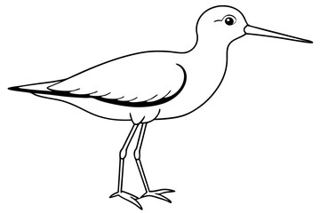 sandpiper silhouette line art vector illustration with a white background